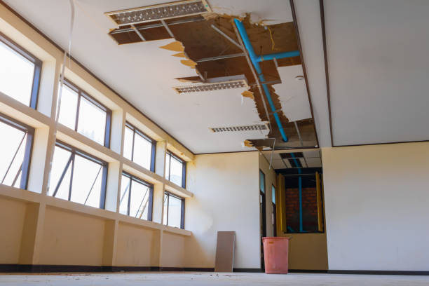 Best Basement water damage restoration  in Brillion, WI