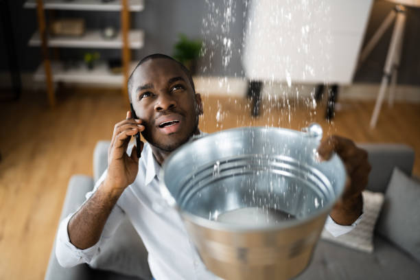  Brillion, WI Water damage restoration Pros