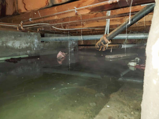 Best Ceiling water damage repair  in Brillion, WI