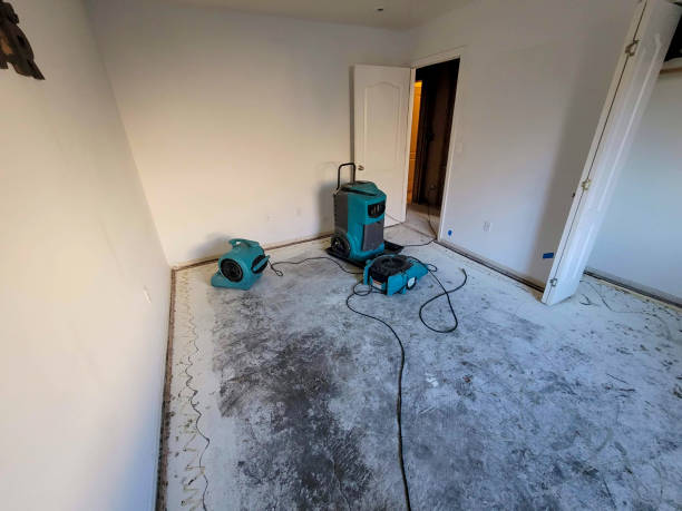 Best Water damage restoration company  in Brillion, WI
