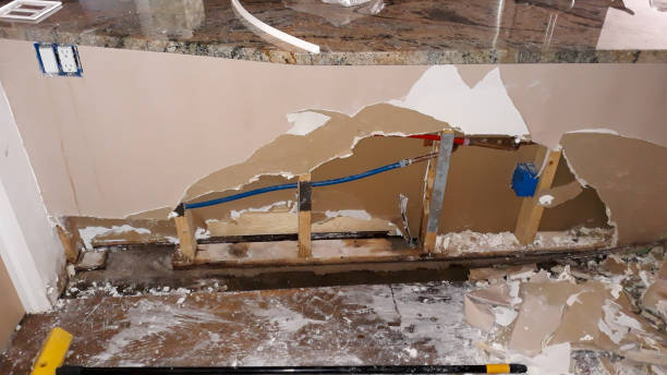 Best Fire Damage Restoration  in Brillion, WI