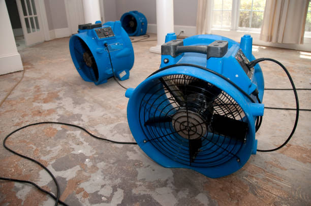 Best Water damage restoration near me  in Brillion, WI