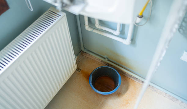 Best Professional water damage repair  in Brillion, WI