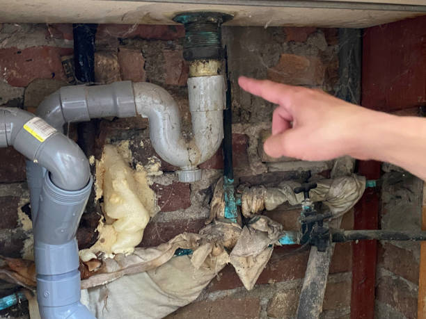  Brillion, WI Water damage restoration Pros