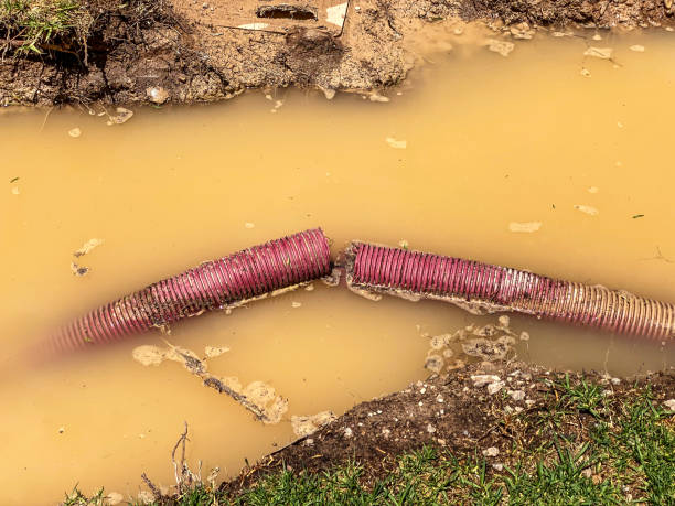 Best Sewage cleanup and water damage restoration  in Brillion, WI