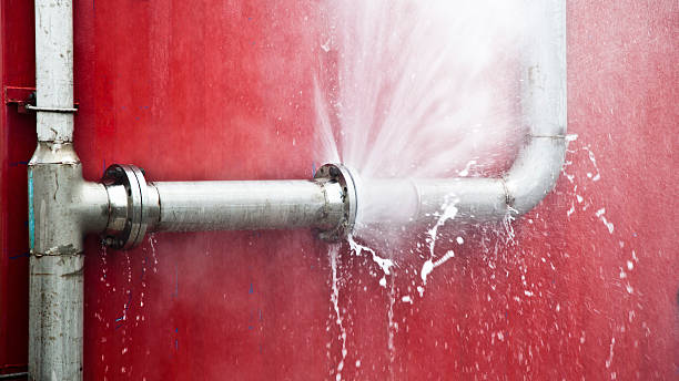 Best Flood restoration services  in Brillion, WI